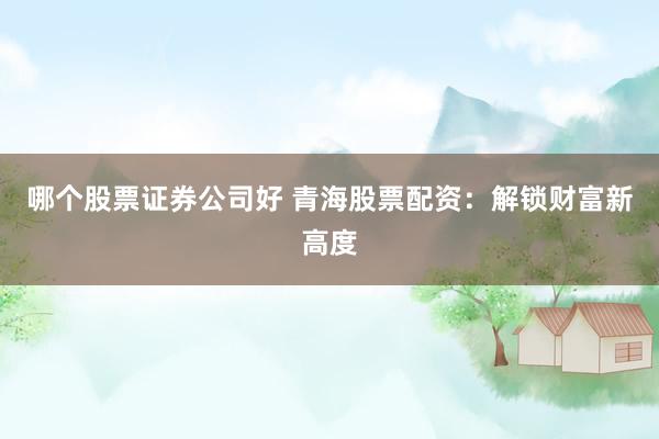 哪个股票证券公司好 青海股票配资：解锁财富新高度